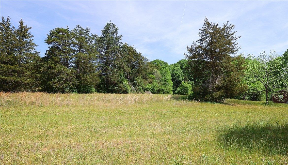 3916 Highway 24 Anderson, SC 29625 - Photo 4 of 8 This verdant expanse offers a serene landscape, perfect for building your dream home.