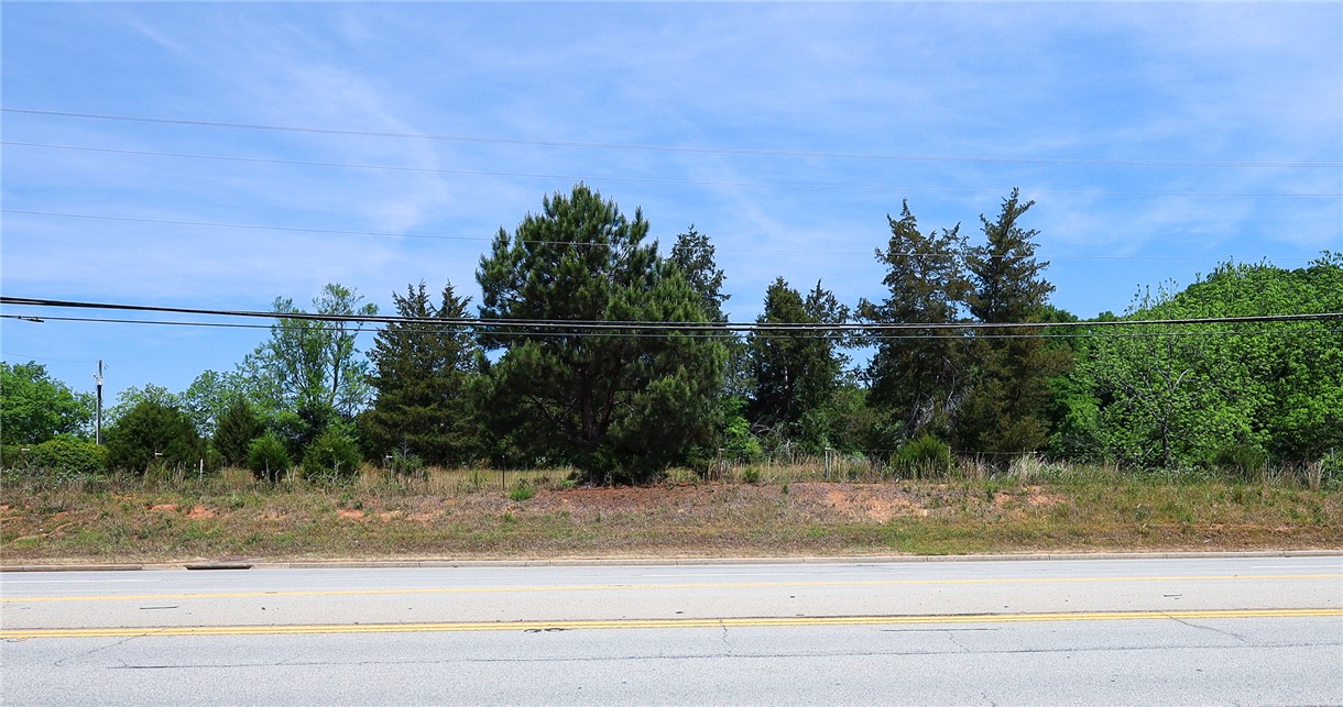 3916 Highway 24 Anderson, SC 29625 - Photo 5 of 8 This undeveloped land parcel offers a blank canvas for your vision, nestled amidst lush natural greenery.