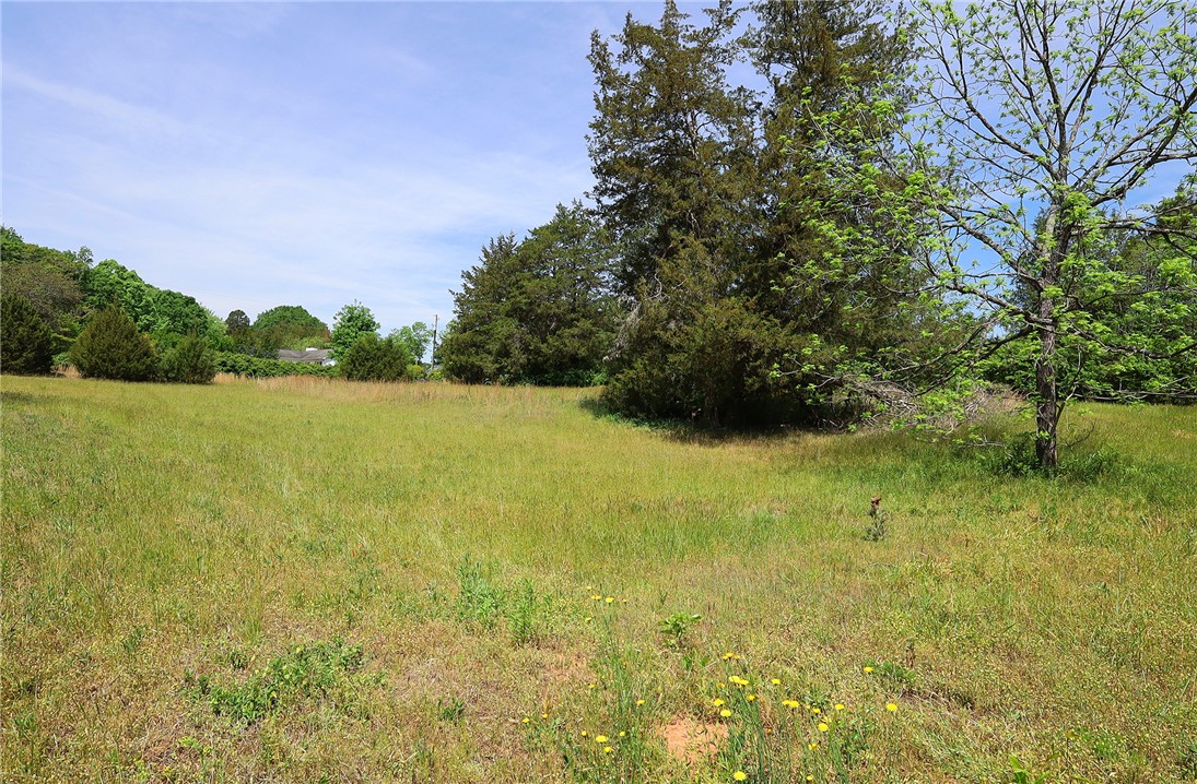 3916 Highway 24 Anderson, SC 29625 - Photo 6 of 8 Expansive green spaces offer tranquility and privacy, ideal for custom home building.