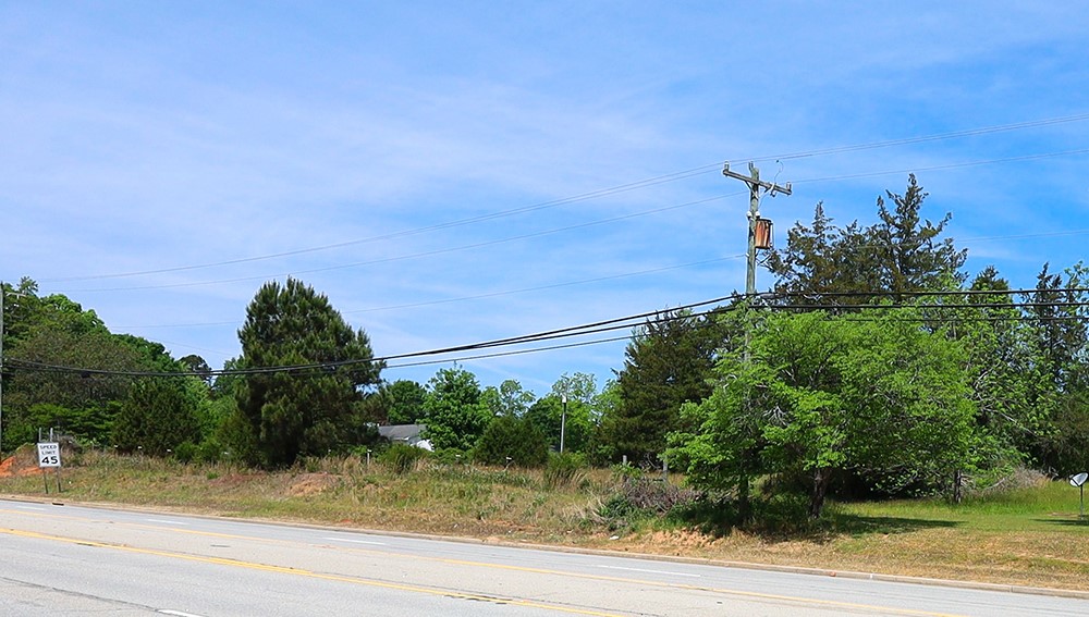 3916 Highway 24 Anderson, SC 29625 - Photo 7 of 8 Expansive lot ready for development, featuring natural landscaping and easy road access.