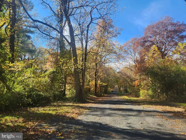 a view of road and trees