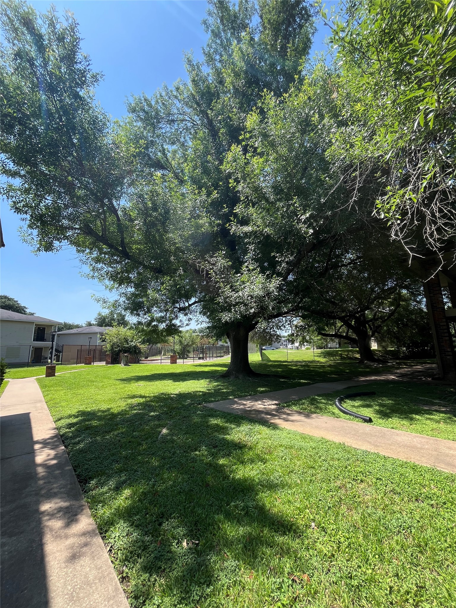 1705 Crossing Place, Unit 131 Austin, TX 78741 - Photo 13 of 13 a view of a park with large trees