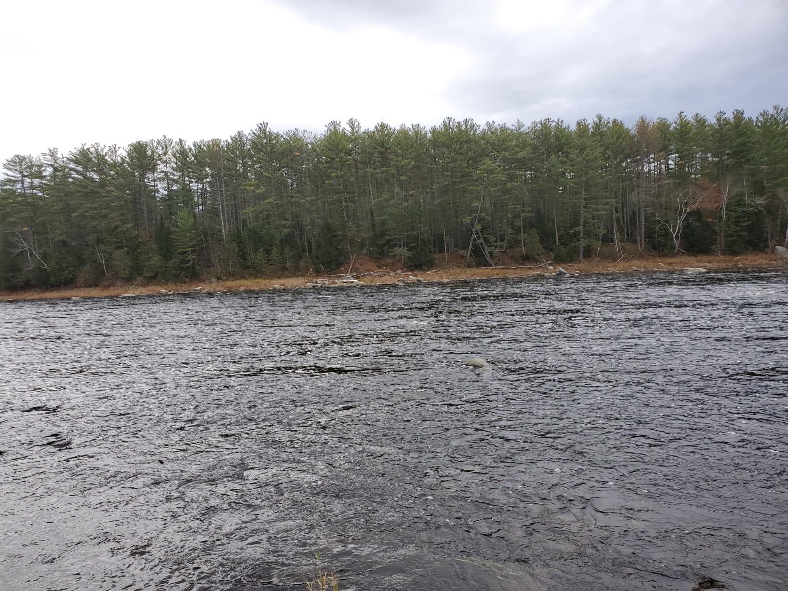 Lot 3 North Howland Road Howland, ME 04448 - Photo 3 of 7 20201028_103509
