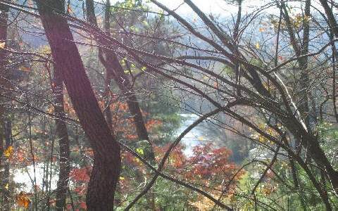Lot24 Lot24 Toccoa River Blue Ridge, GA 30513 - Photo 1 of 1 Main View