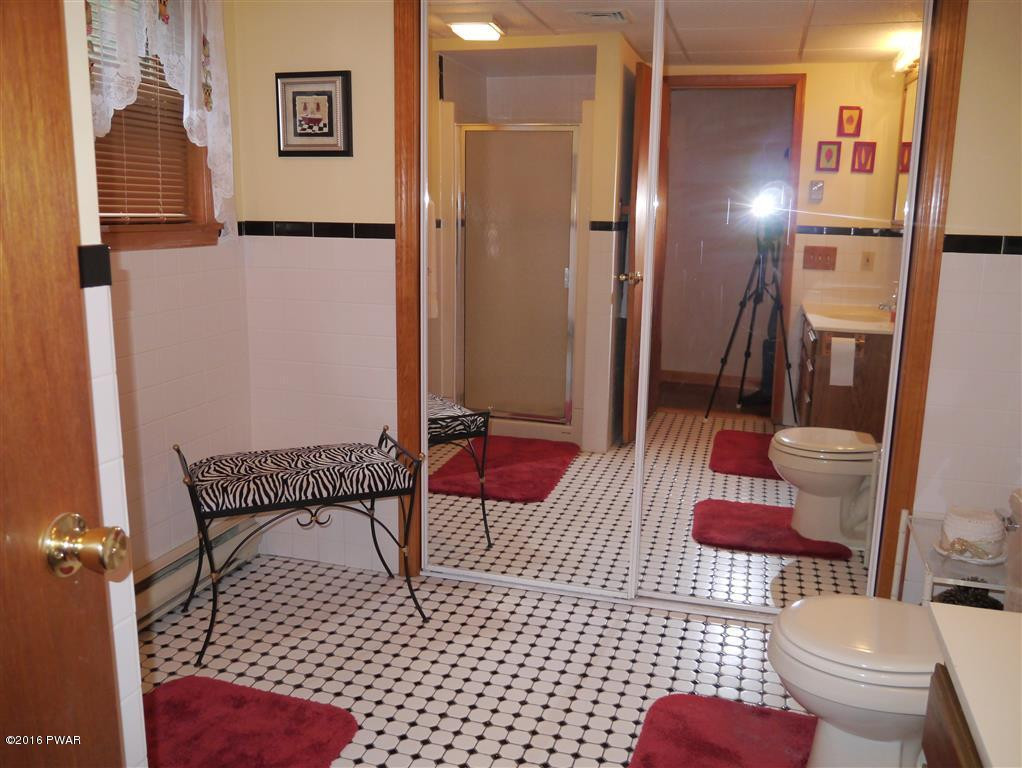 144 Whitleigh Road Equinunk, PA 18417 - Photo 30 of 44 Lower Level Bath (3)