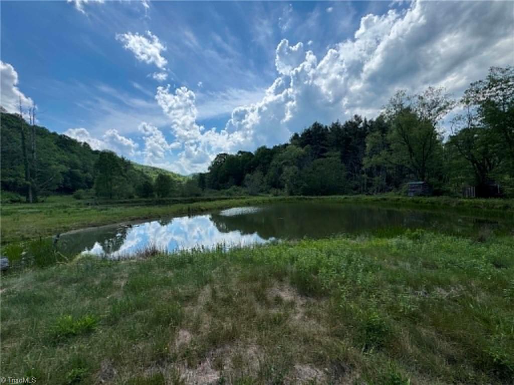 1298 Air Bellows Gap Road Sparta, NC 28675 - Photo 12 of 16