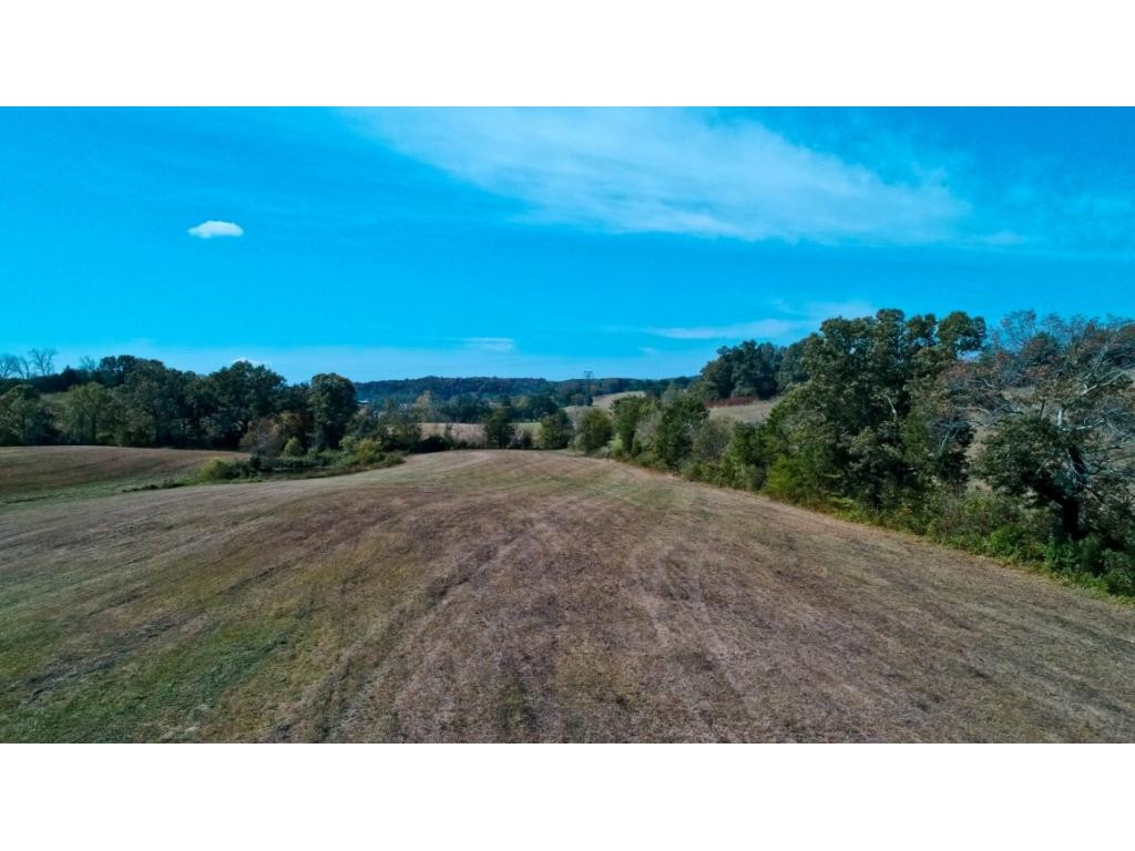 2 Timber Ridge Road, Unit 2 Greeneville, TN 37743 - Photo 6 of 27 Photo 6