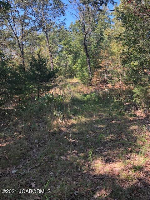 665 Coelleda School Road Roach, MO 65787 - Photo 12 of 14