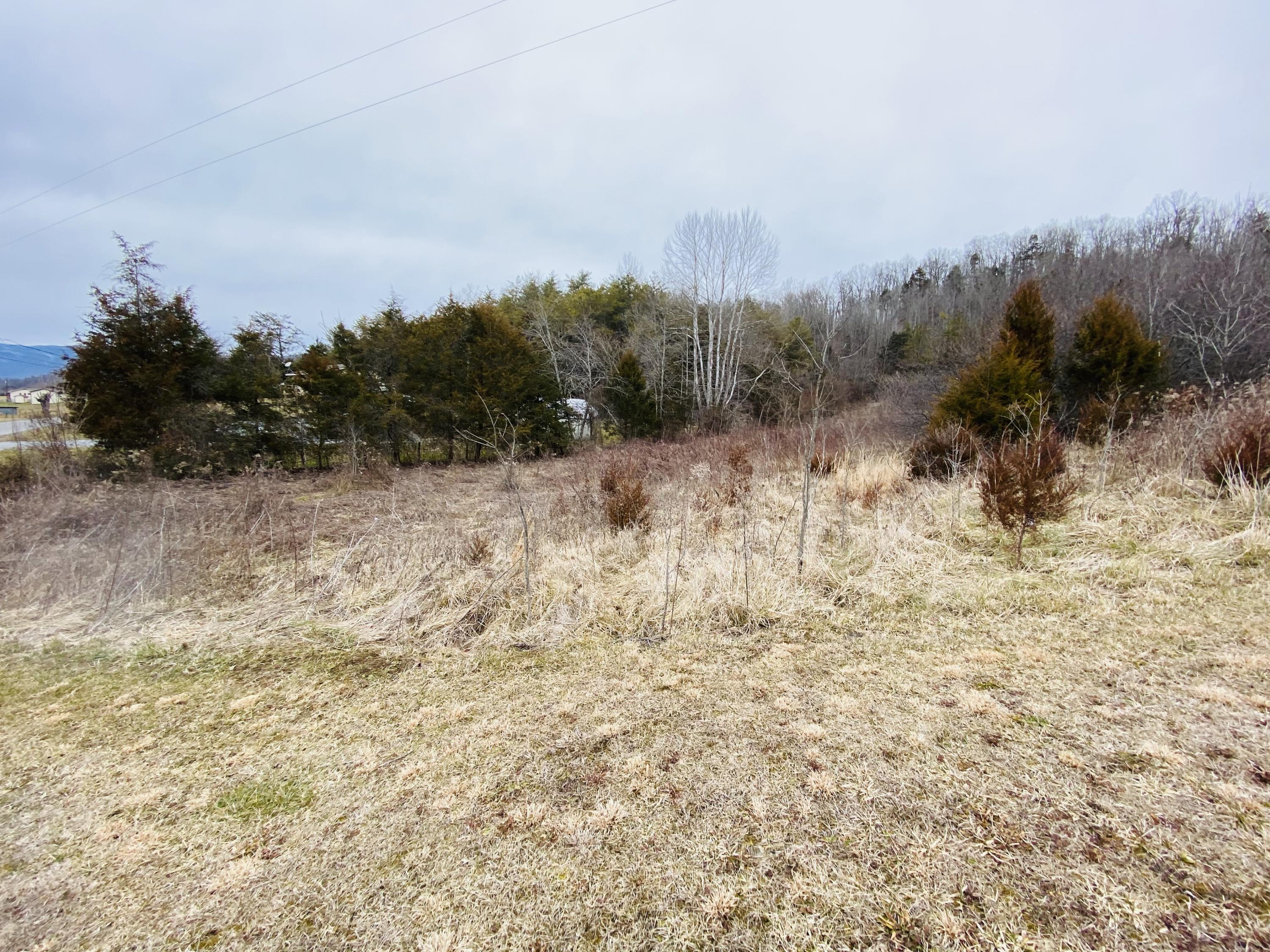 1709 Lick Branch Road Ewing, VA 24248 - Photo 12 of 15 00CBCE9F-2CFB-4A22-924E-3D55539A29F0