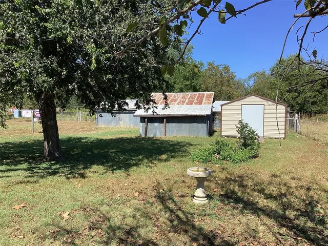 a view of a garden with plants and large trees