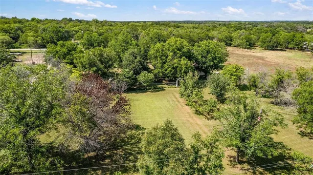 a view of a yard with plants