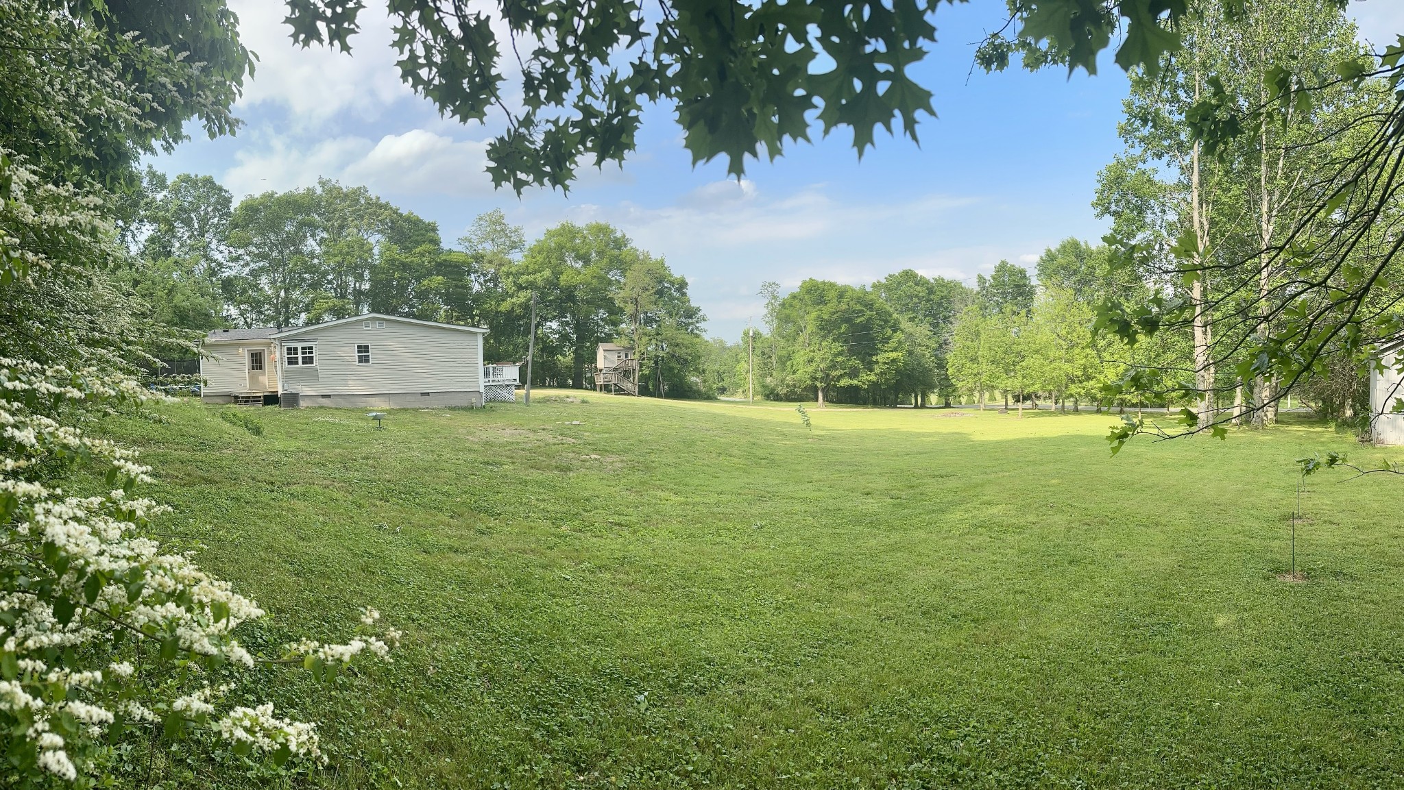 4002 Rippey Lake Road Mount Pleasant, TN 38474 - Photo 32 of 43 a view of a field with a tree in front of the house