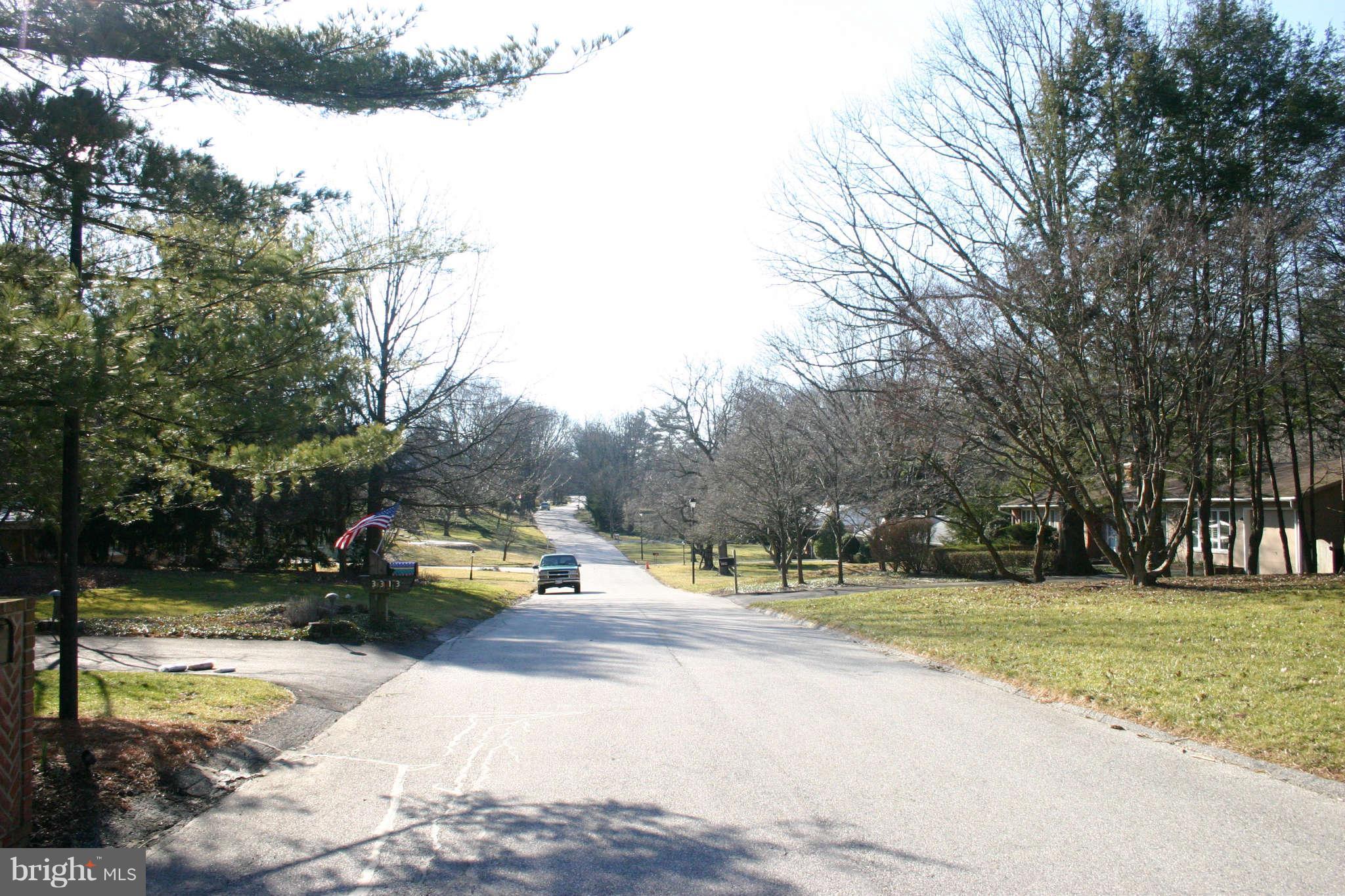 Street Scene