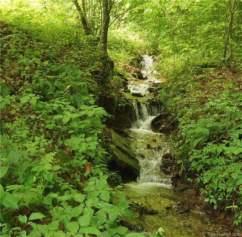 200 Long Branch Road Pisgah Forest, NC 28768 - Photo 21 of 22 Gallery Image 21