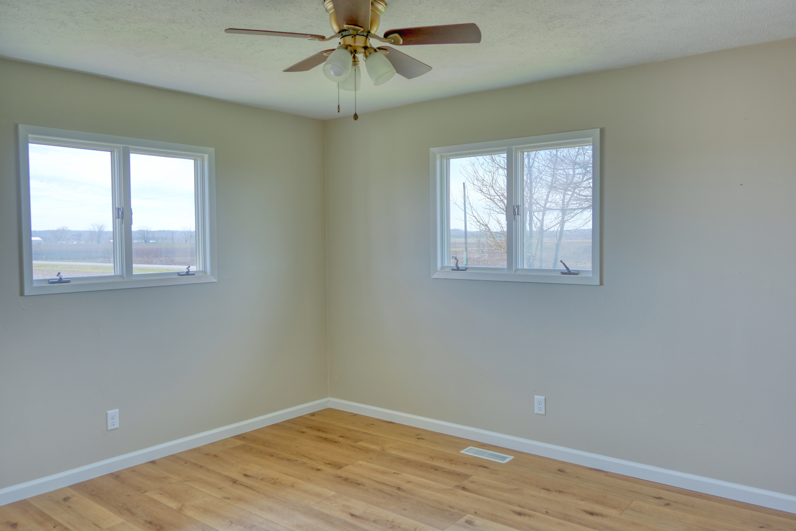 676 Swan Pond Road Jacob, IL 62950 - Photo 9 of 42 an empty room with wooden floor closet and windows