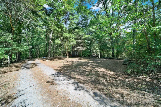 a view of a yard with a trees
