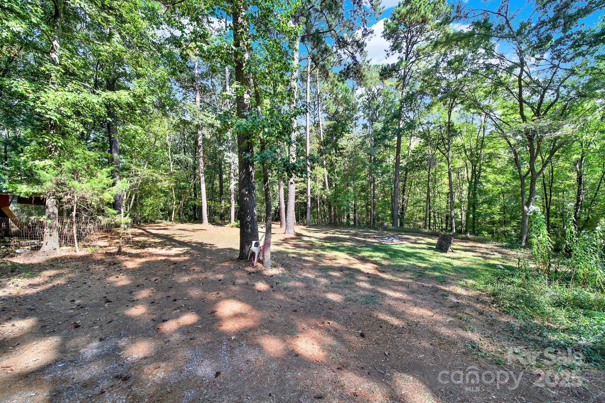 4768 Old Church Road Lancaster, SC 29720 - Photo 35 of 40 a view of a tree with a tree