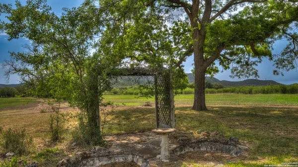 a view of a yard with lots of trees
