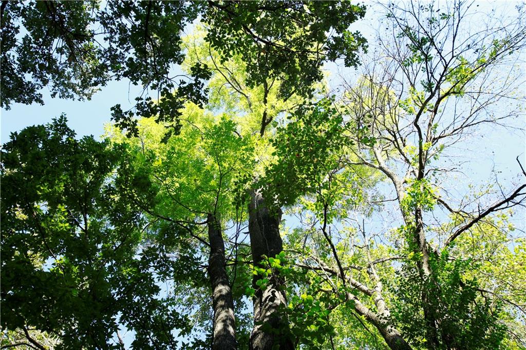 Tbd South Walker Road Harrisonville, MO 64701 - Photo 14 of 24