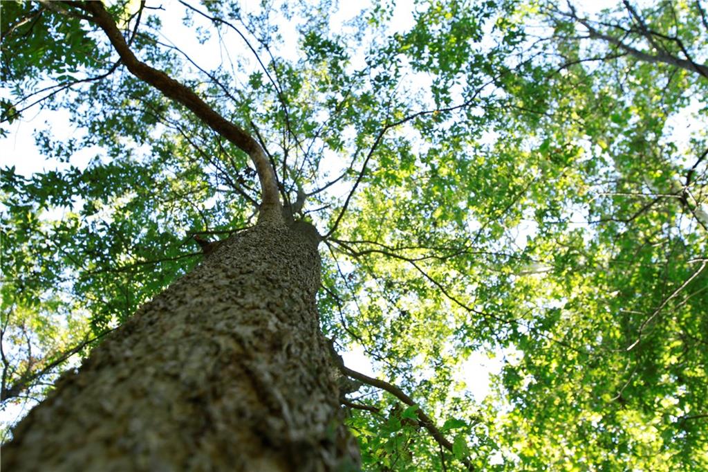 Tbd South Walker Road Harrisonville, MO 64701 - Photo 15 of 24