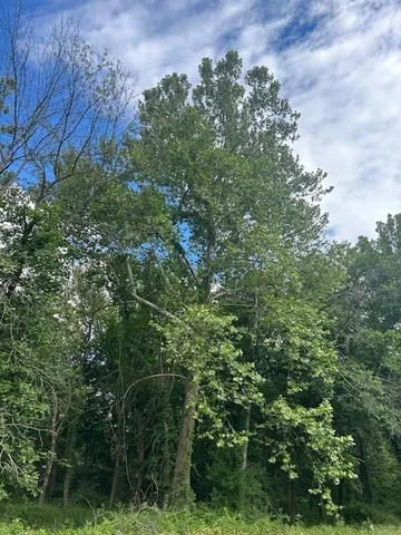 $159,900 | Tbd South Walker Road, Harrisonville, MO 64701