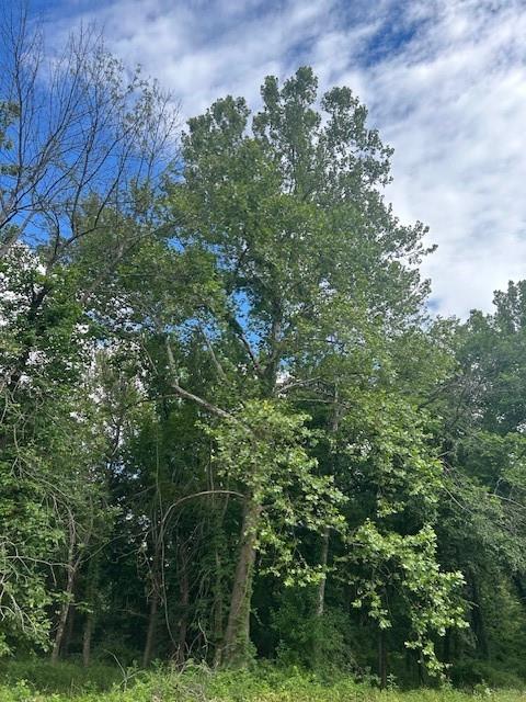 Tbd South Walker Road Harrisonville, MO 64701 - Photo 5 of 24