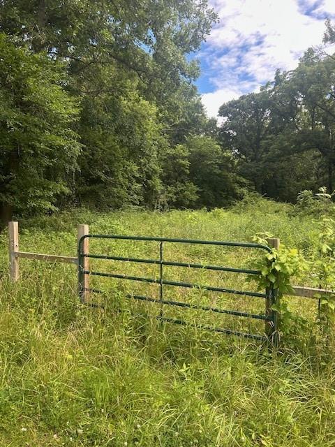 Tbd South Walker Road Harrisonville, MO 64701 - Photo 9 of 24