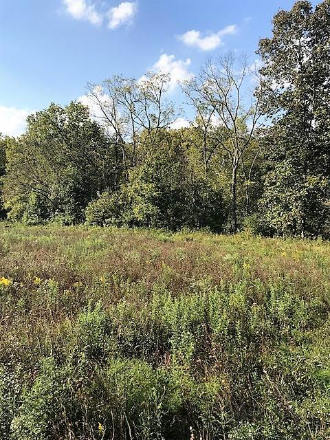 103-acres Sipple Road Dry Ridge, KY 41035 - Photo 5 of 21