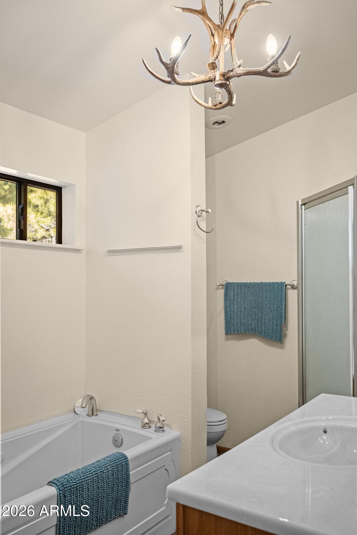 628 Trout Springs Road Forest Lakes, AZ 85931 - Photo 26 of 49 8