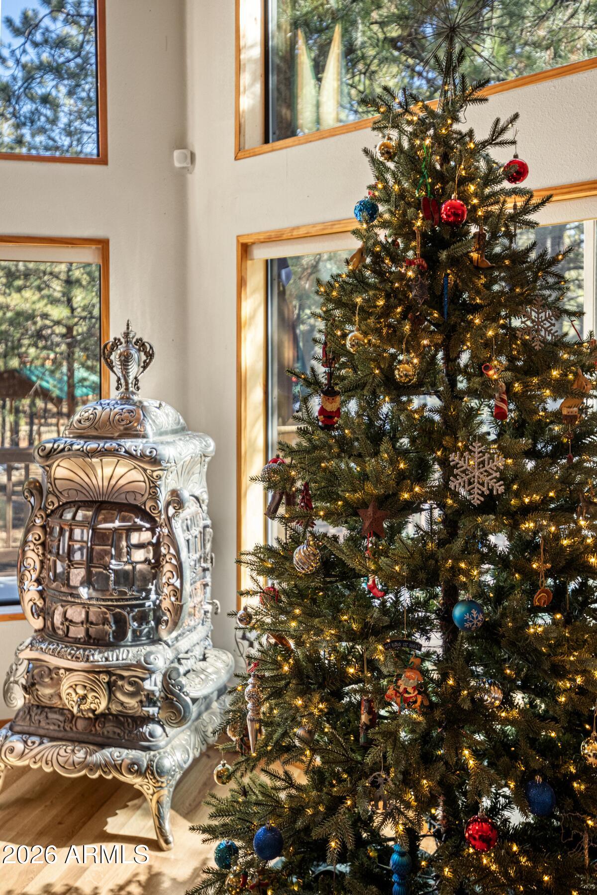 628 Trout Springs Road Forest Lakes, AZ 85931 - Photo 43 of 44 a picture of a tree