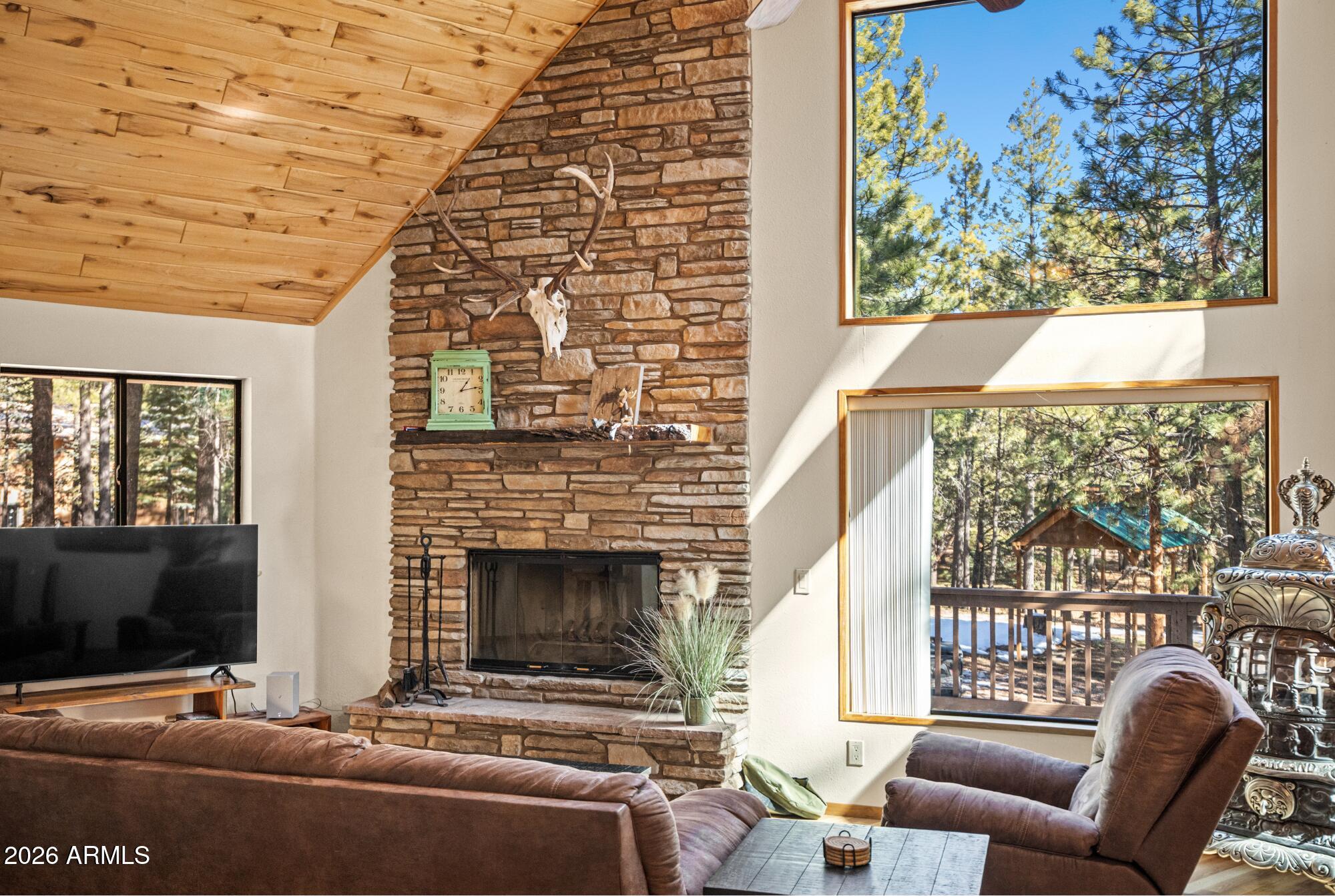 628 Trout Springs Road Forest Lakes, AZ 85931 - Photo 6 of 44 a living room with furniture a flat screen tv and a fireplace