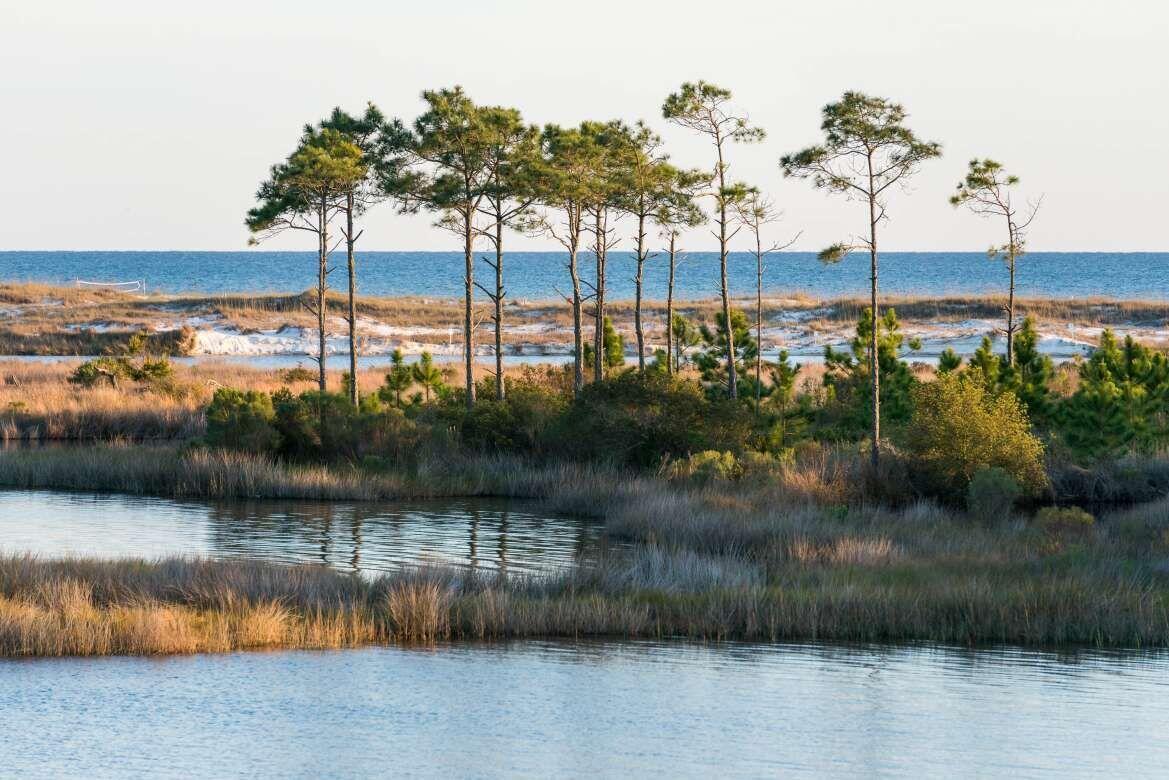 54 Grande Pointe Drive Inlet Beach, FL 32461 - Photo 49 of 57 Camp St Helen St Park