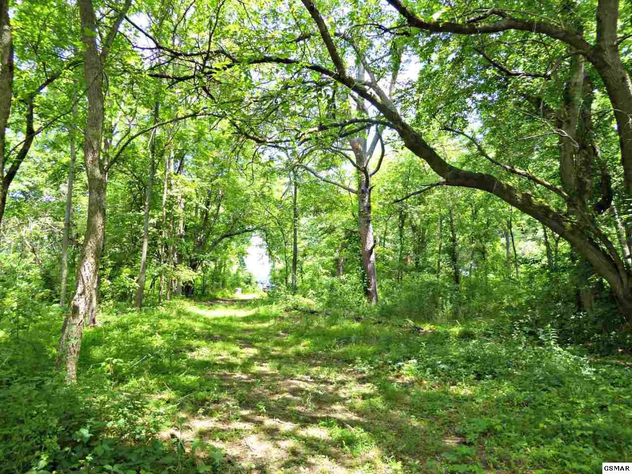 12 Ernie Roberts Road Rutledge, TN 37861 - Photo 23 of 32 Gallery Image 23