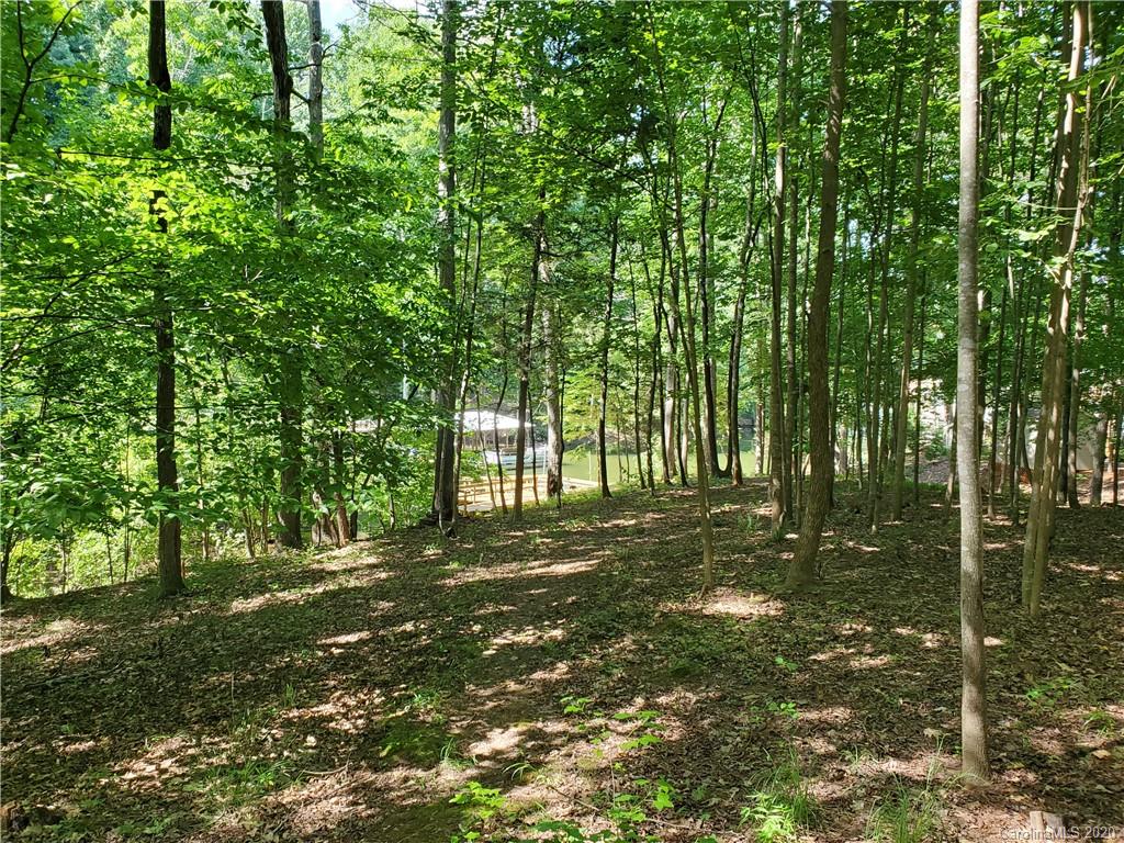 224 Beaten Path Road Mooresville, NC 28117 - Photo 12 of 27 Gallery Image 12