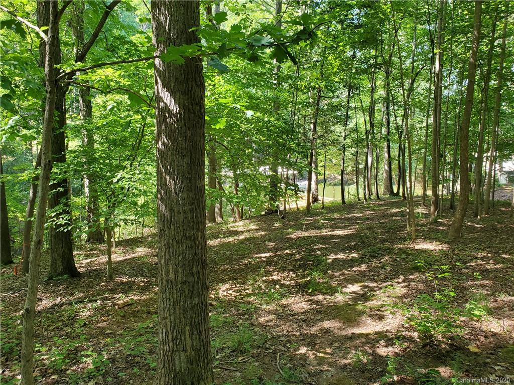 224 Beaten Path Road Mooresville, NC 28117 - Photo 13 of 27 Gallery Image 13