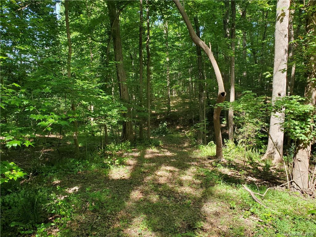 224 Beaten Path Road Mooresville, NC 28117 - Photo 14 of 27 Gallery Image 14