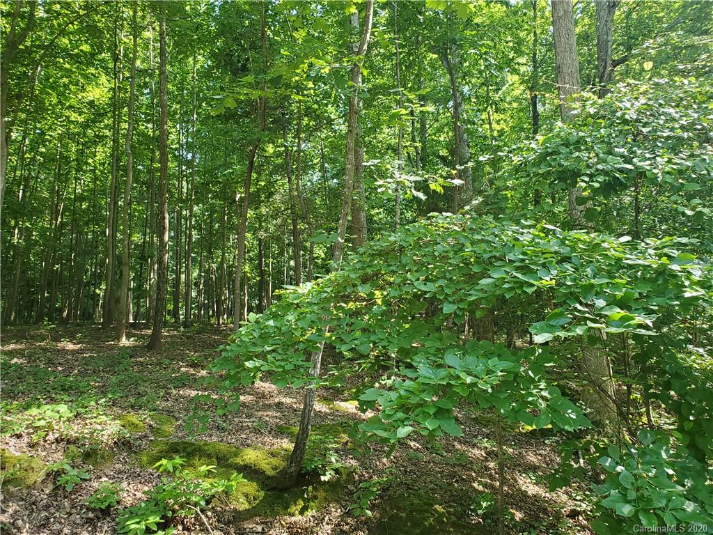 224 Beaten Path Road Mooresville, NC 28117 - Photo 15 of 27 Gallery Image 15