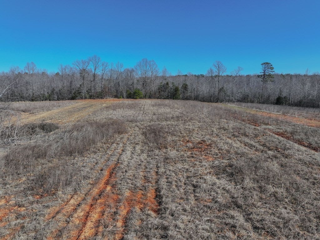 48.2-ac Averett Church Road Nelson, VA 24580 - Photo 23 of 37 Gallery Image 23
