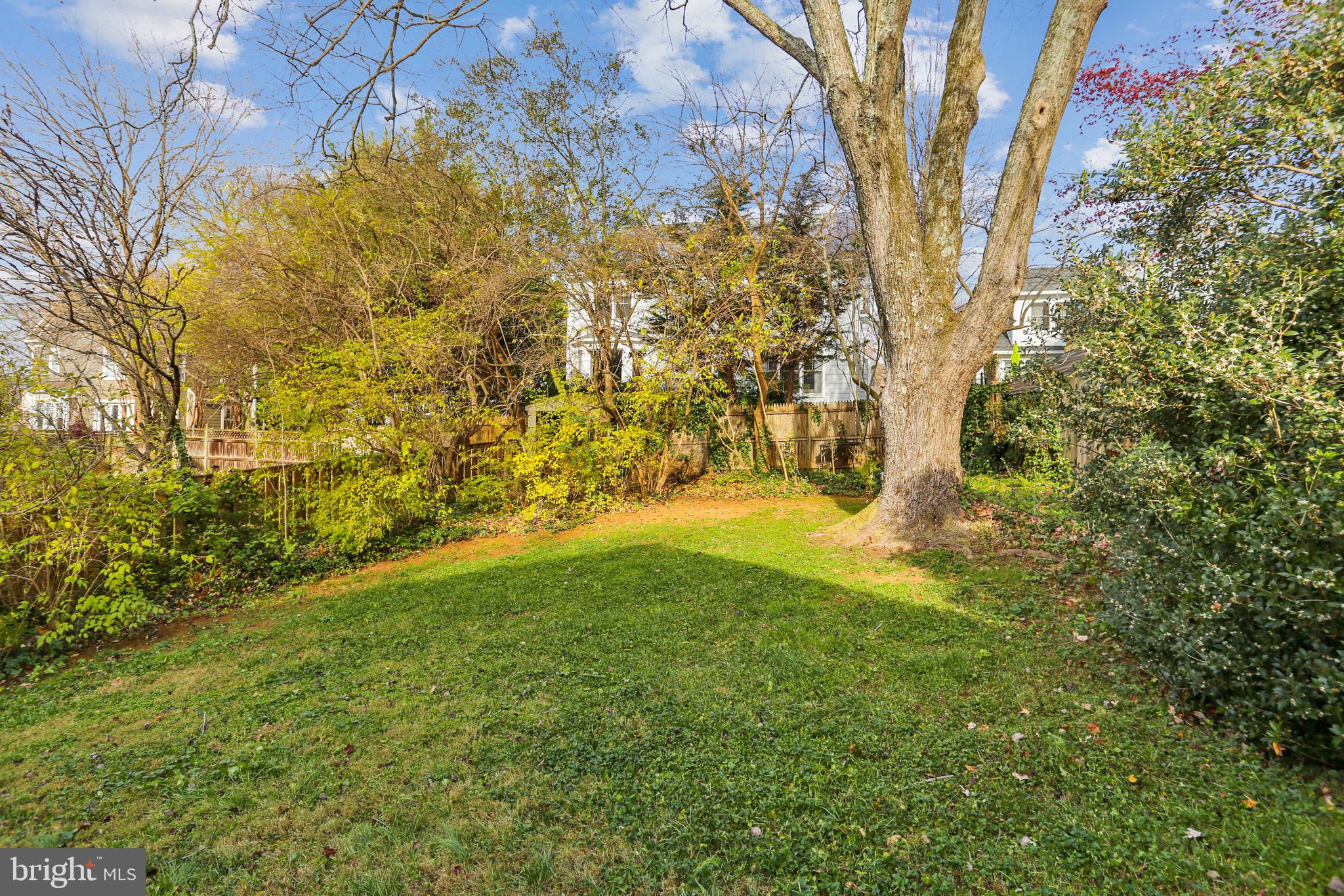 8614 Ridge Road Bethesda, MD 20817 - Photo 8 of 16 Enchanting Backyard