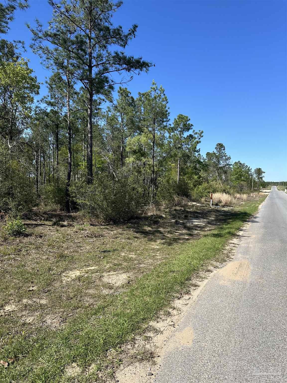 34-br Buffalo Ridge Road Pace, FL 32571 - Photo 3 of 8