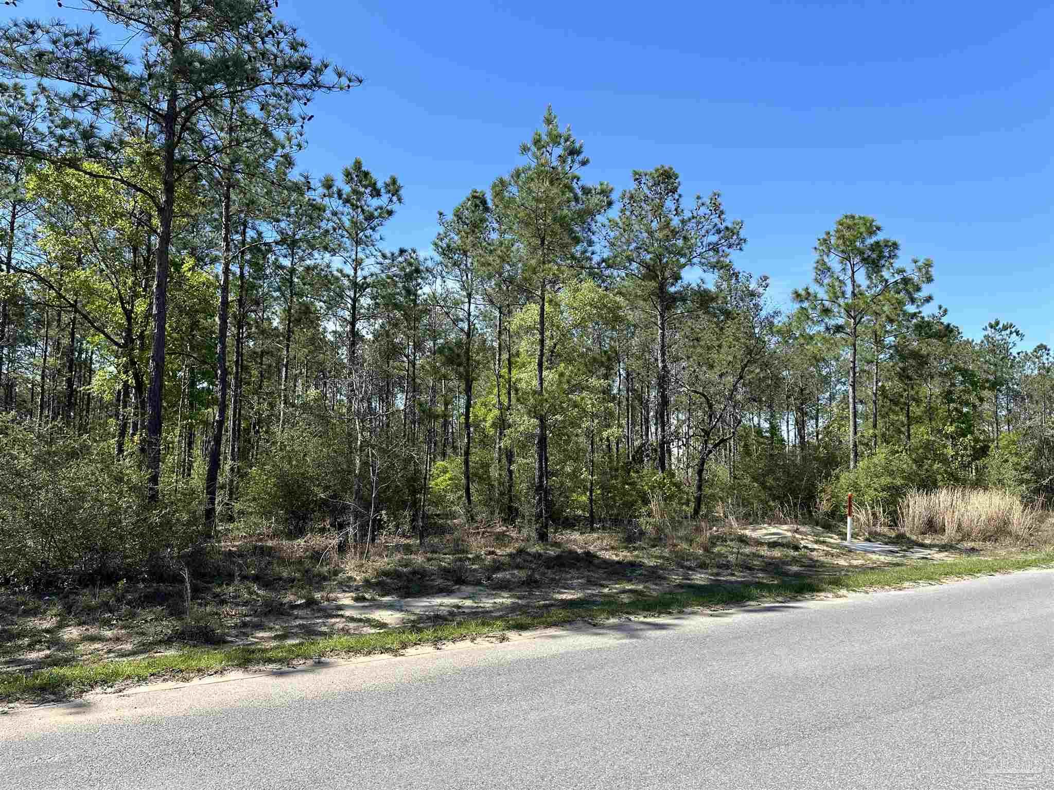 34-br Buffalo Ridge Road Pace, FL 32571 - Photo 6 of 8