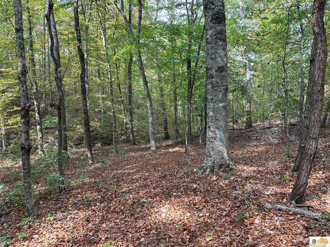 8923 Greensburg Road Edmonton, KY 42129 - Photo 20 of 29 Gallery Image 20