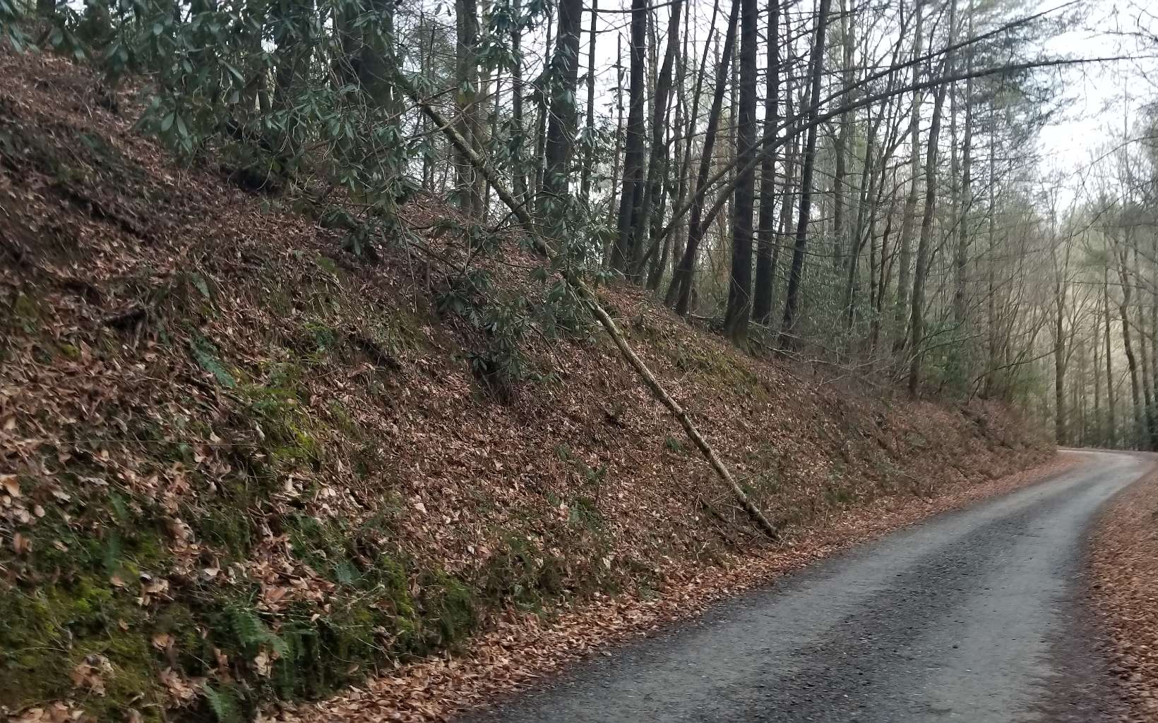 Bear Creek Camp Road Ellijay, GA 30540 - Photo 2 of 4 Additional View