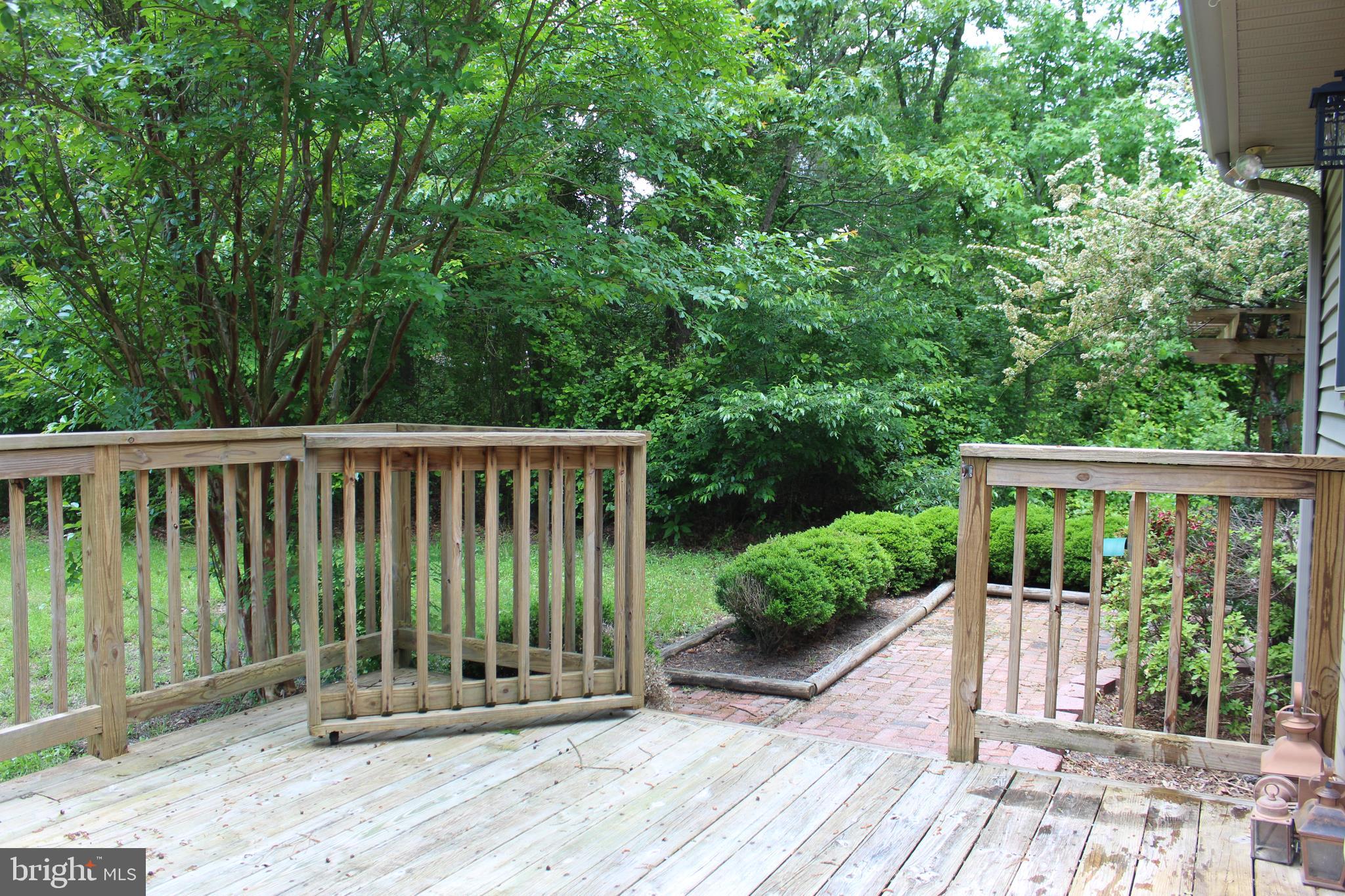 32161 Melson Road Delmar, MD 21875 - Photo 19 of 20