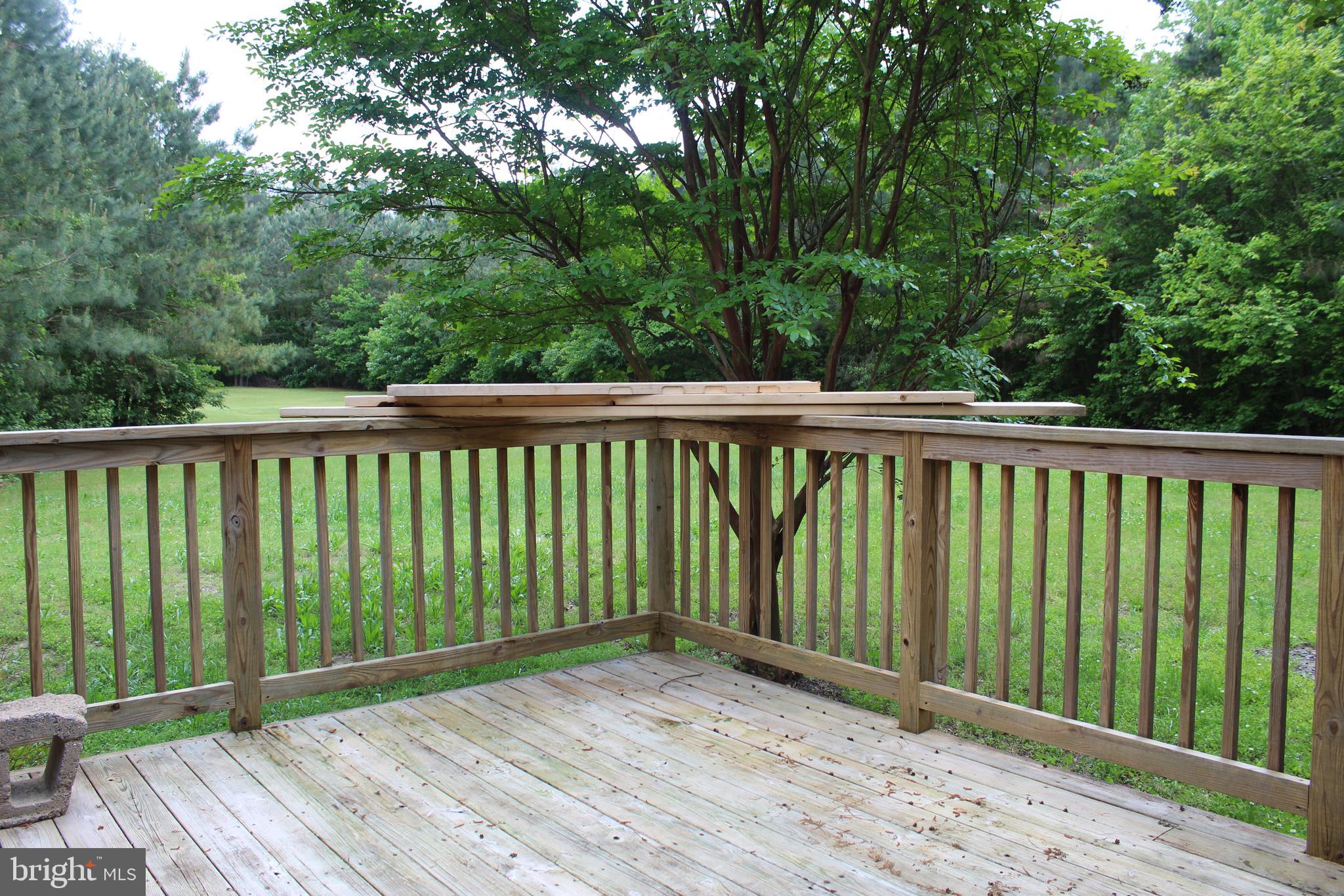 32161 Melson Road Delmar, MD 21875 - Photo 20 of 20