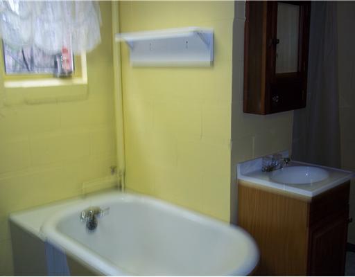 635 Chicora Road Butler, PA 16001 - Photo 15 of 18 Other. Lower Level Bath tub & sink
