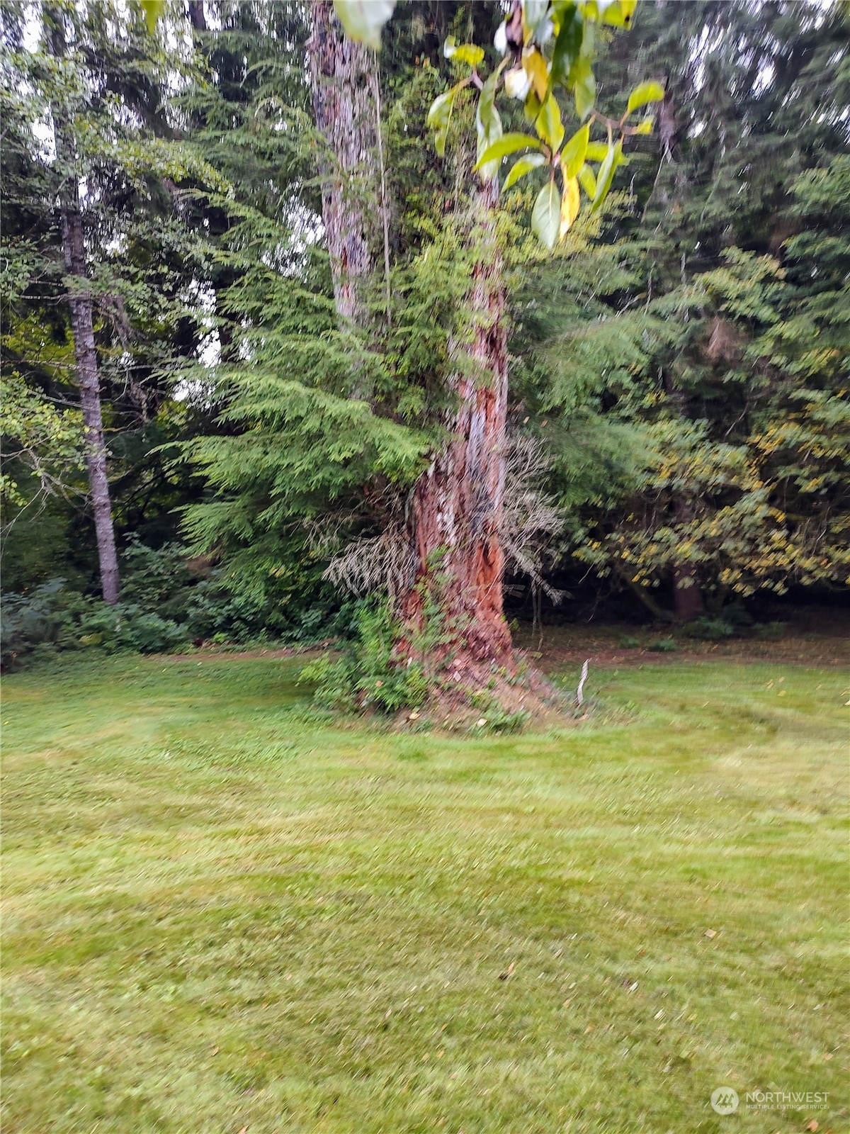 543 Ocean Beach Road Hoquiam, WA 98550 - Photo 22 of 24 Gallery Image 22