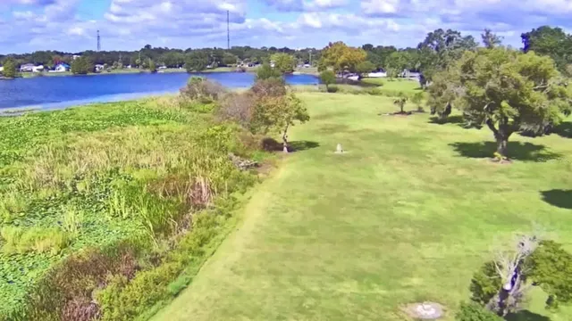 a view of a yard with plants and trees