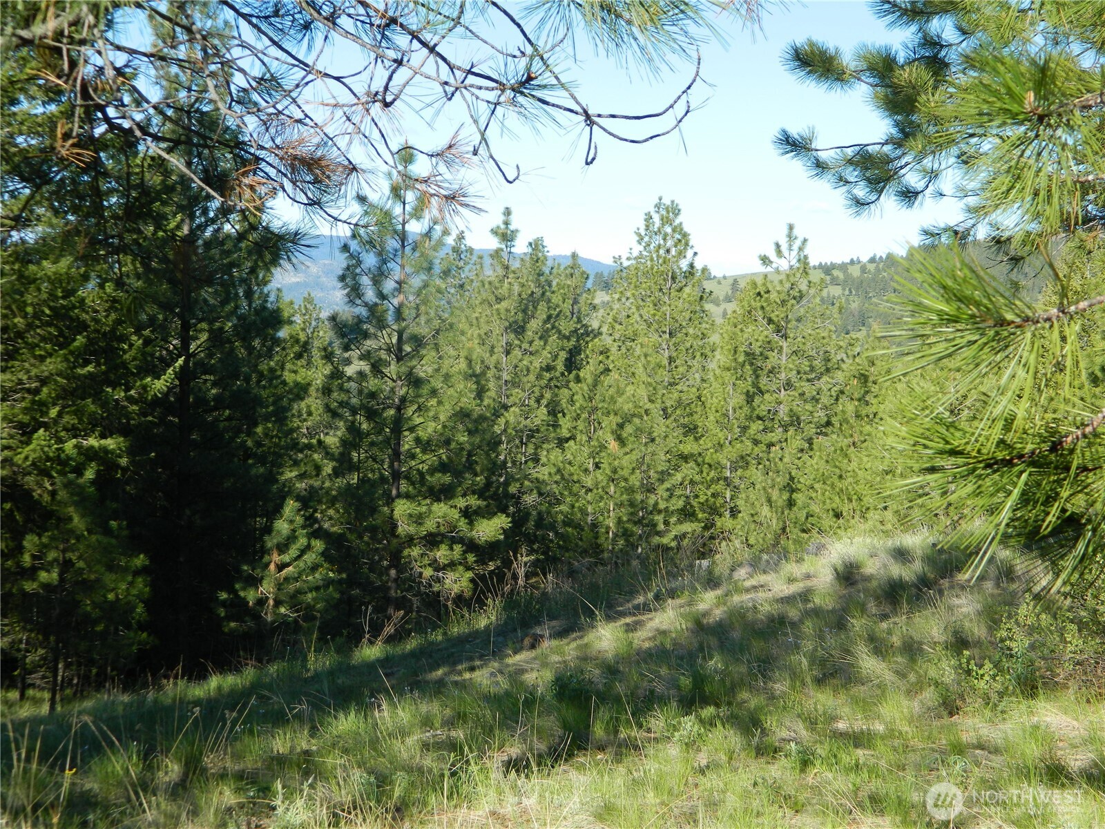151 Indian Mary Loop Road Tonasket, WA 98855 - Photo 13 of 20