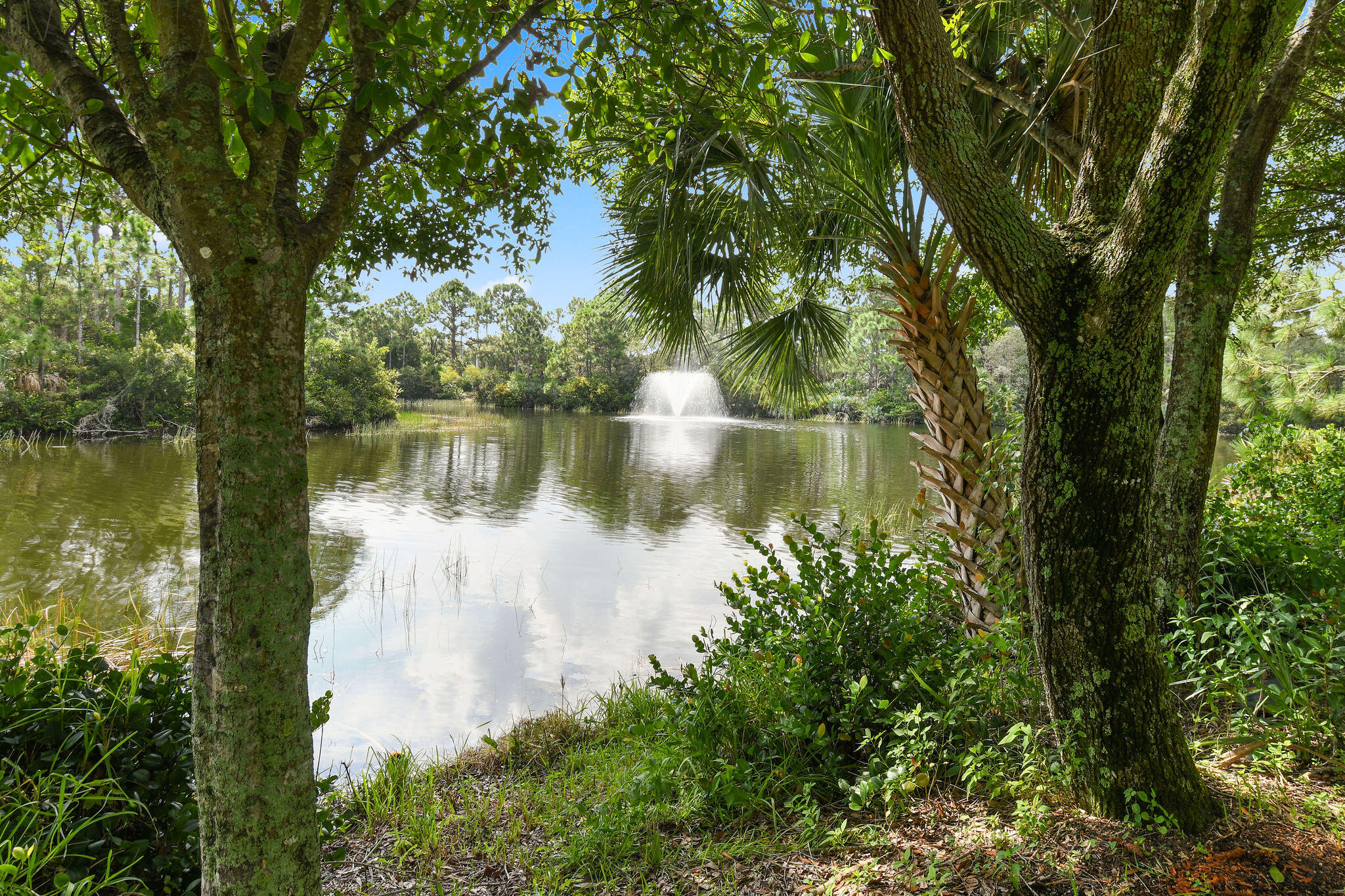 147 Killarney Court Jupiter, FL 33458 - Photo 66 of 68 Lake and preserve